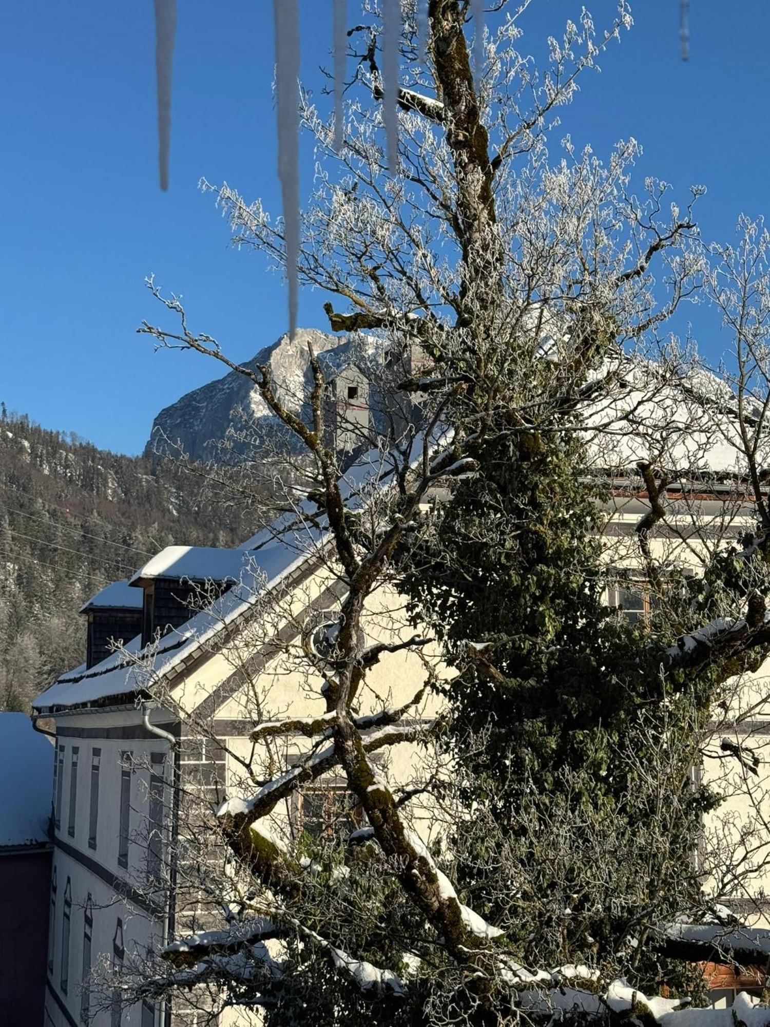 Podenhaus Apartahotel